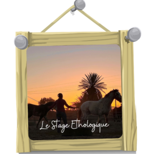 Stage Ethologique