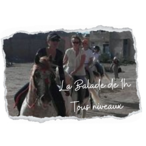 Balade à cheval de 1H
