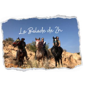 Balade à cheval de 2H