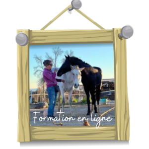 Formation en ligne équestre
