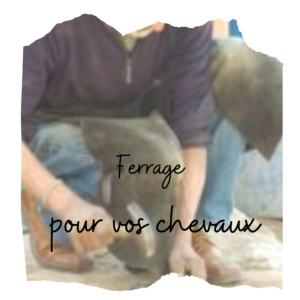Maréchalerie Ferrage
