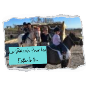 Balades pour les enfants (poney/ ânes) 1H