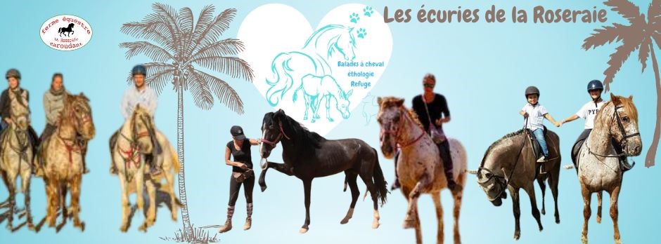 Les écuries de la Roseraie