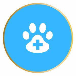 Stérilisation chienne