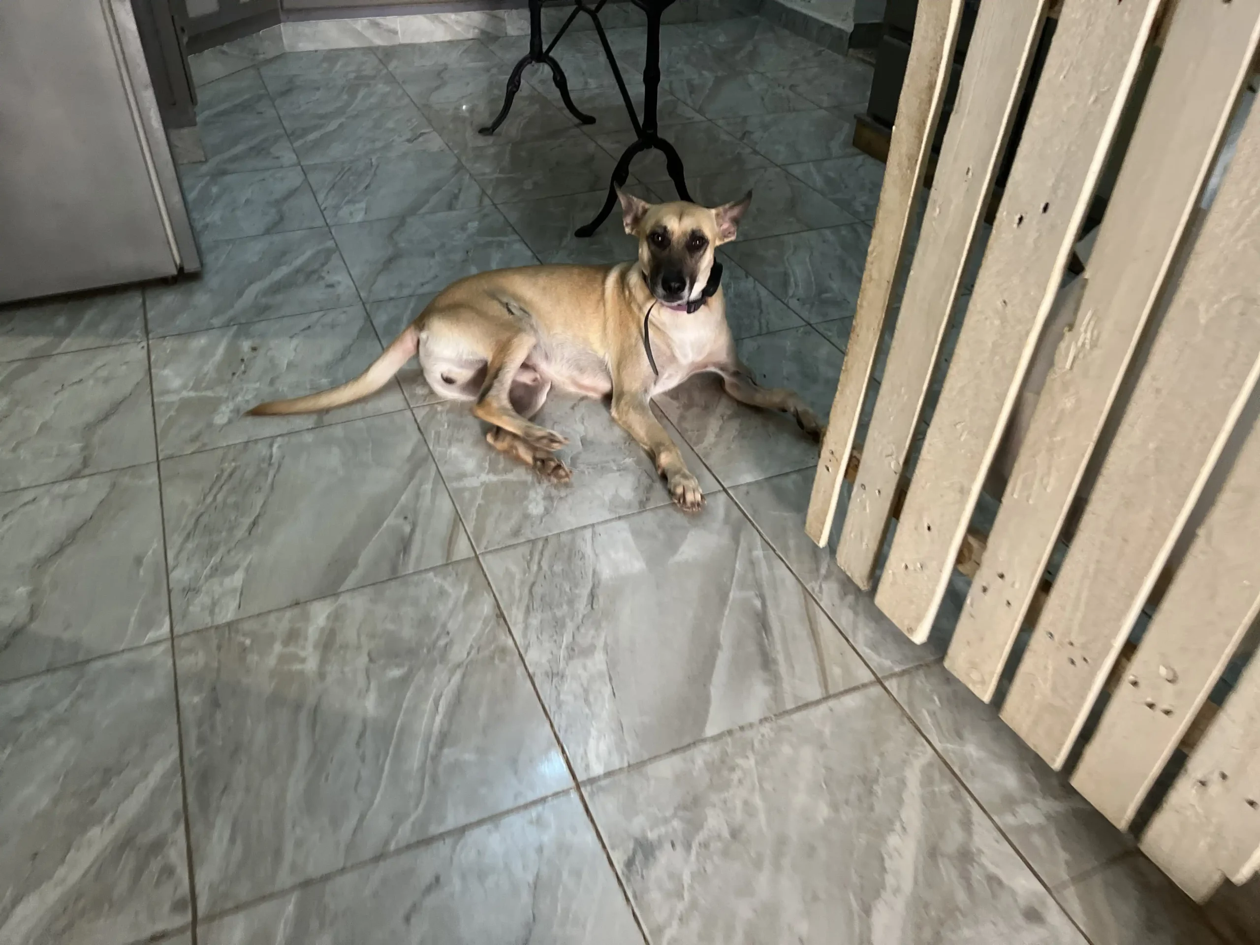 Diego