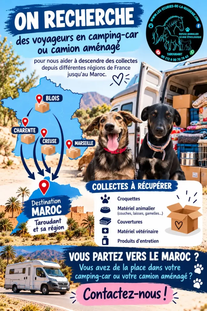 Nous avons besoin de vous, pour le transport des collectes de matériels pour animaux en direction du Maroc !